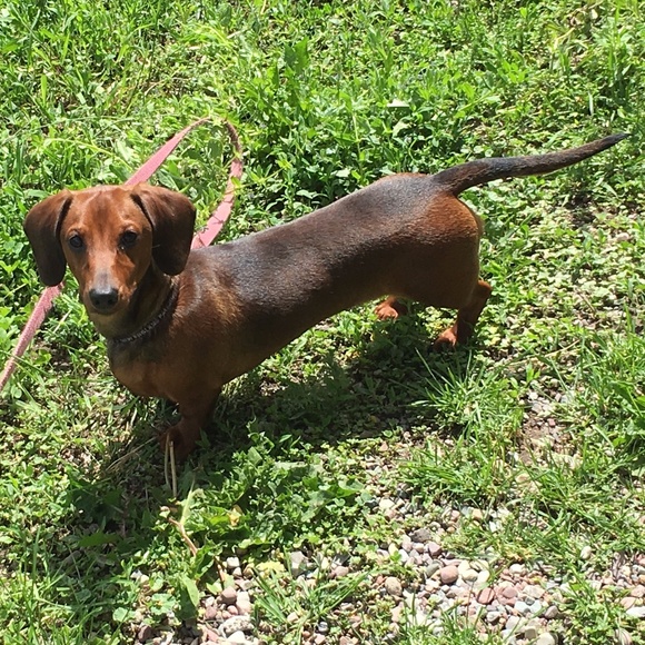 Meet your Posher, Ruth - Picture 9 of 16